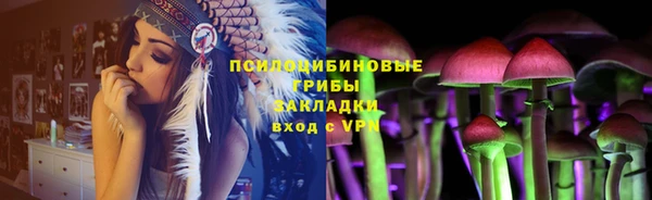 ГАЛЛЮЦИНОГЕННЫЕ ГРИБЫ Алексин