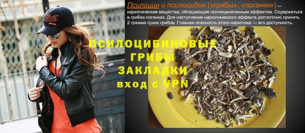 ГАЛЛЮЦИНОГЕННЫЕ ГРИБЫ Алексин