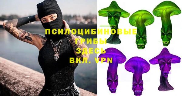 ГАЛЛЮЦИНОГЕННЫЕ ГРИБЫ Алексин