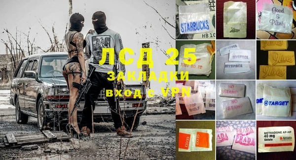 ГАЛЛЮЦИНОГЕННЫЕ ГРИБЫ Алексин