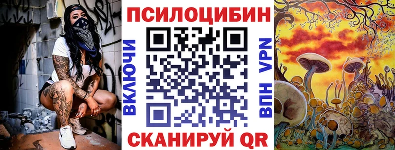 купить  цена  Новоаннинский  Галлюциногенные грибы Magic Shrooms 
