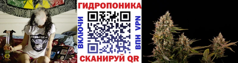 Бошки Шишки OG Kush  Новоаннинский 